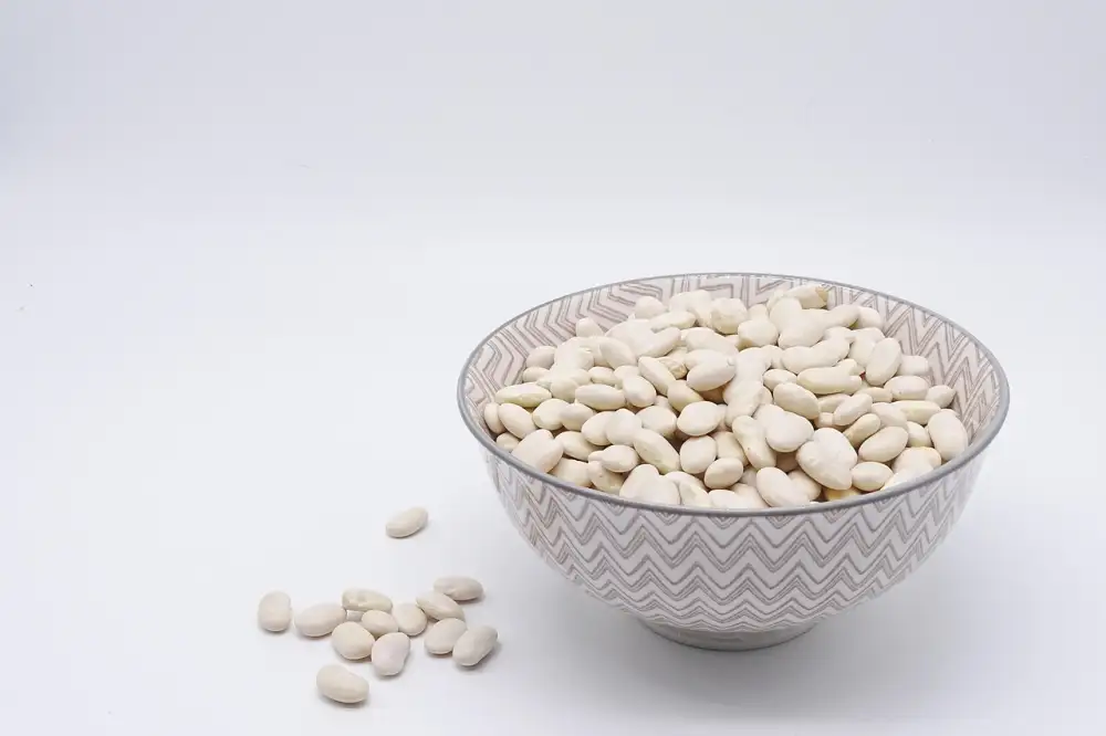 Mars Protein