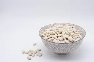 Mars Protein